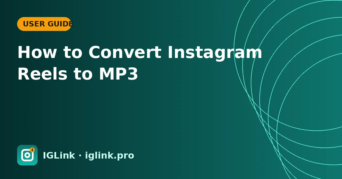 How to Convert Instagram Reels to MP3
