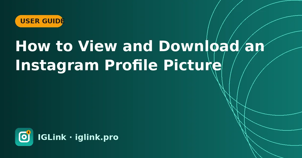 How to View and Download an Instagram Profile Picture