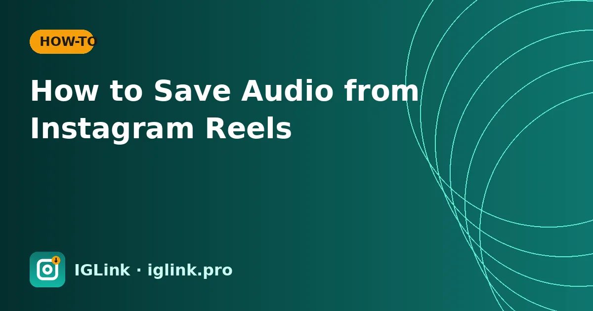 How to Save Audio from Instagram Reels