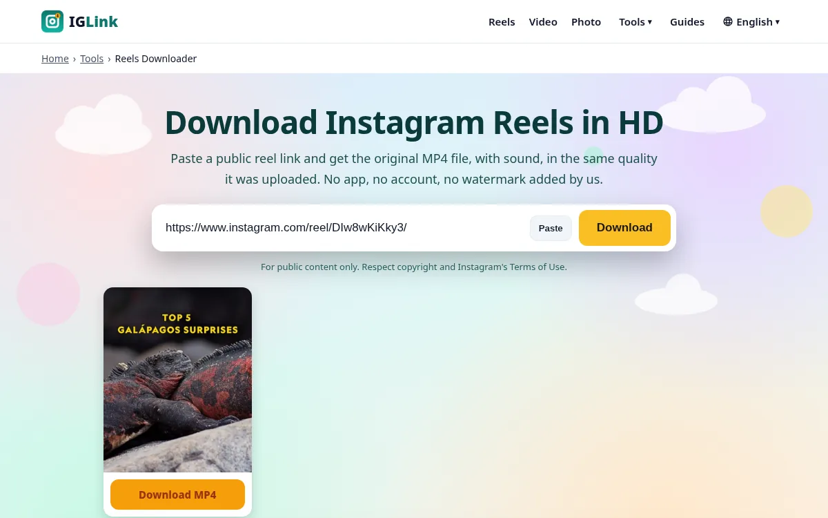 IGLink Instagram downloader showing a pasted reel link and the Download MP4 button
