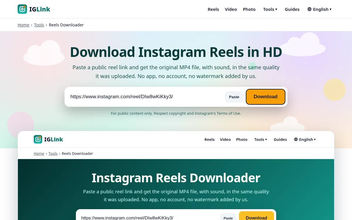 IGLink input box with an Instagram reel link pasted in and the Download button