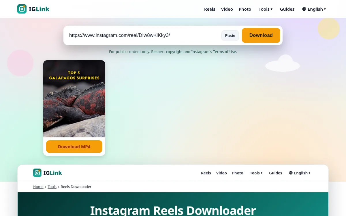 IGLink result card with preview thumbnail and Download MP4 button